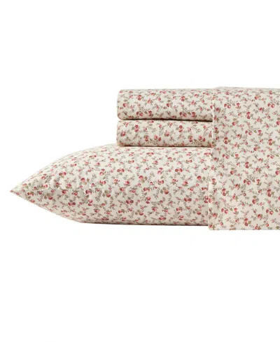 Laura Ashley 200-thread Cotton 4 -pc. Sheet Set, King In Sweet Success