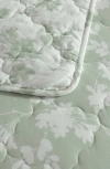 Laura Ashley Adorabelle 3-piece Twin Quilt & Sham Set In Green