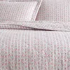 Laura Ashley Marta Floral Stripe 3-piece Queen Quilt & Sham Set In Lt-pastel Pink