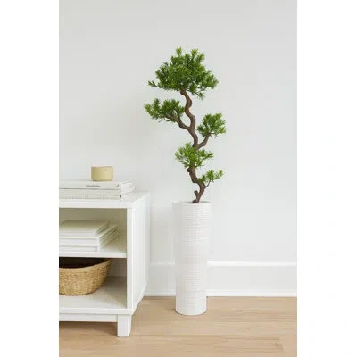 Laura Ashley Panama 59" Yucca Bonsai Tree In Pot In Green