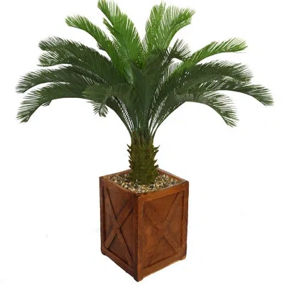 Laura Ashley Panama Tall Floor Cycas Palm Tree In Planter