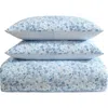Laura Ashley Quartet 3-piece Comforter & Sham Set In Cashmere Blue