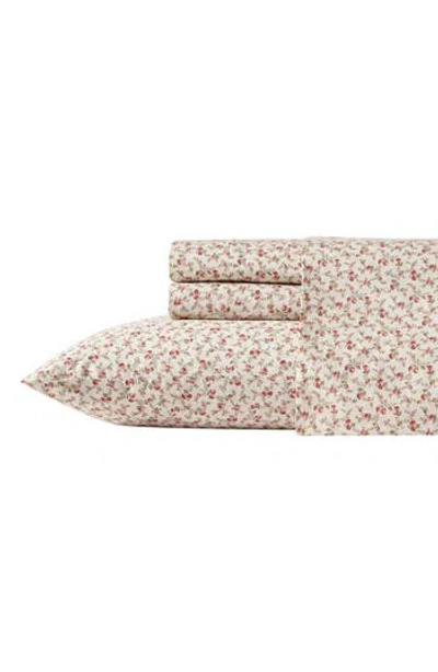 Laura Ashley Sweet Success Twin Cotton Percale Sheet Set In Black