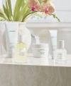 Laura Mercier Bath Body Collection In Ambre Vanille