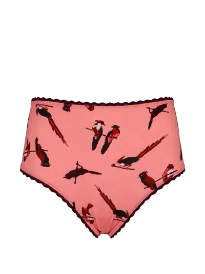 Laura Urbinati 버드 프린트 하이웨이스트 브리프 In Pink