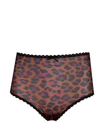 Laura Urbinati Leopard-print Lace-trim Briefs In Multi