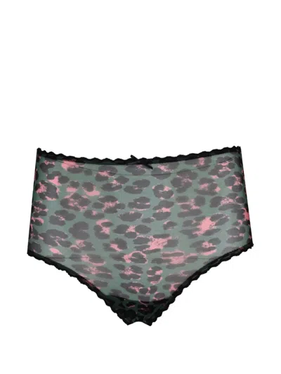 Laura Urbinati Leopard-print Lace-trim Briefs In Green