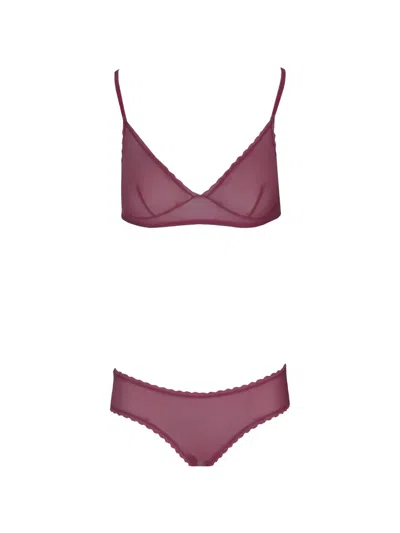 Laura Urbinati Scallop-edge Tulle Briefs In Purple