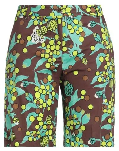 Laura Urbinati Woman Shorts & Bermuda Shorts Dark Brown Size 6 Cotton, Elastane