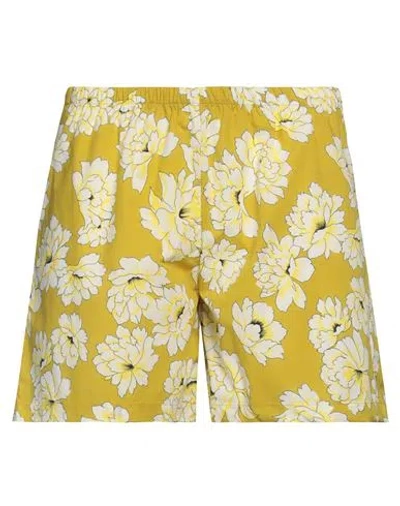 Laura Urbinati Woman Shorts & Bermuda Shorts Mustard Size 8 Cotton In Yellow