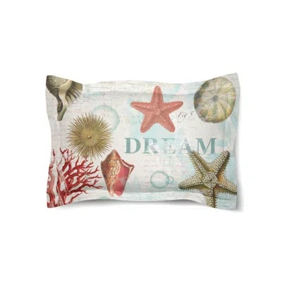 Laural Home Dream Beach Shells Comforter Sham In Red