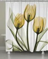 Laural Home Golden Tulips Shower Curtain, 71" X 72"