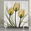 Laural Home Golden X-ray Tulips Shower Curtain In Yellow