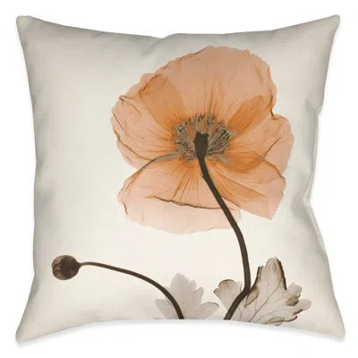 Laural Home Poppy Harvest X-ray Decorative Square Pillow Cover & Insert In Multi
