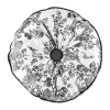 Laurel Manor Toile Garden Round Throw Pillow In Black