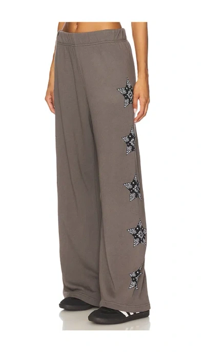 Lauren Moshi Black Horse Wide Leg Pant In Brown