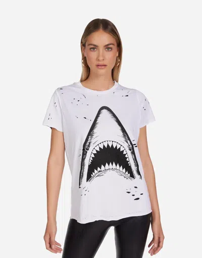 Lauren Moshi X Shallan X Shark