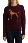 LAUREN RALPH LAUREN LAUREN RALPH LAUREN INTARSIA VIZSLA COTTON SWEATER