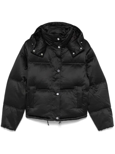 Lauren Ralph Lauren Padded Jacket In Black