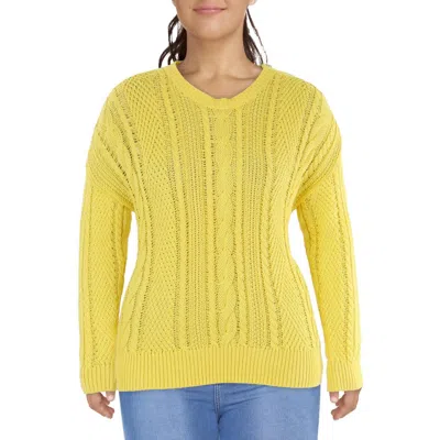 Ralph Lauren Plus Womens Knit Long Sleeves Pullover Sweater In Multi