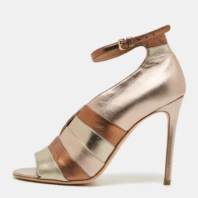 Laurence Dacade Sianni In Multi