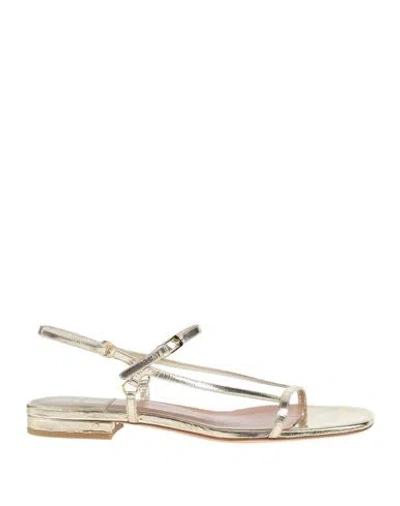 Laurence Dacade Woman Sandals Gold Size 8 Calfskin