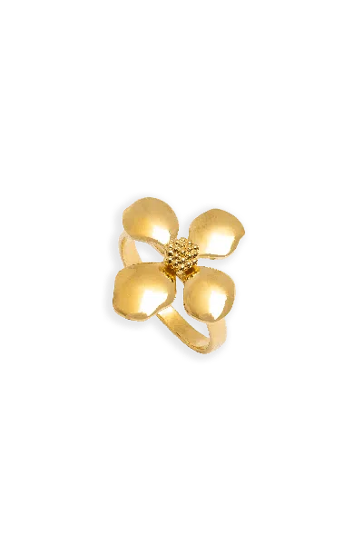 Lavani Jewels Women's Gold Cassia Ring