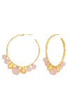 Lavani Jewels Women's Gold / Pink Elara Pink Earrings In Gold