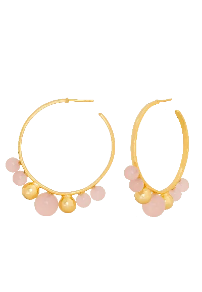 Lavani Jewels Women's Gold / Pink Elara Pink Earrings