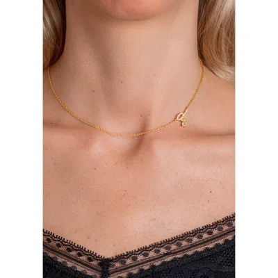 Lavani Jewels Women's Gold / White Zircon "d" Initial Necklace In Burgundy