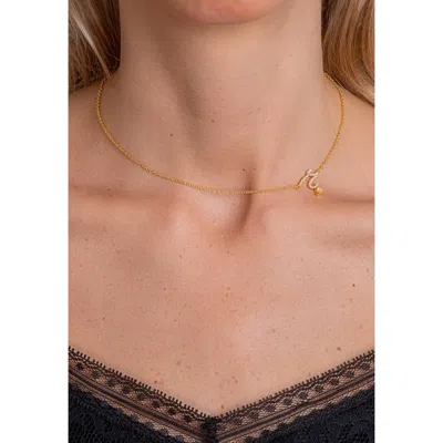 Lavani Jewels Women's Gold / White Zircon "r" Initial Necklace In Burgundy