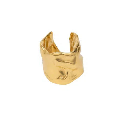 Lavani Jewels Women's Golden Clemence Ring In Burgundy