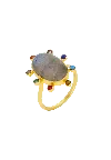 Lavani Jewels Women's Grey Dharma Multicolor Ring In Gold