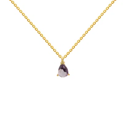 Lavani Jewels Women's Purple / Gold Purple Pride Mini Necklace