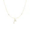 Lavani Jewels Women's Zodiac Horoscope Sign Leo Constellation Necklace Gold