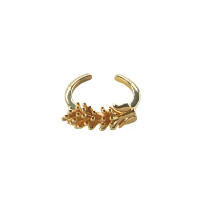 Lavanta Women's Alya Silver Ring - Gold