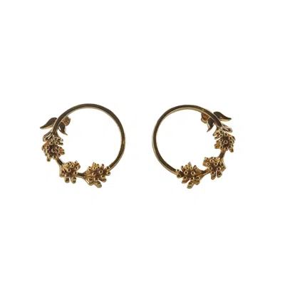 Lavanta Women's Castor Silver Earrings - Gold