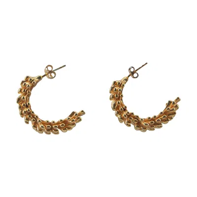 Lavanta Women's Helene Silver Earrings - Gold