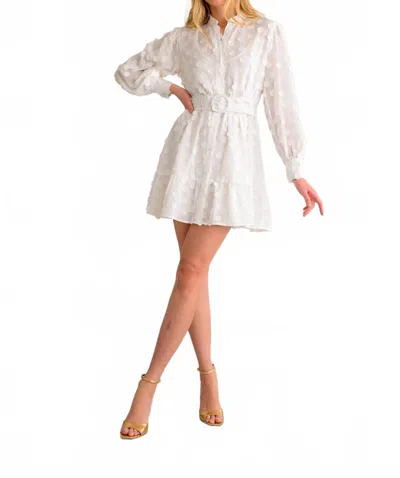 Lavender Brown Elizabeth Mini Dress In White