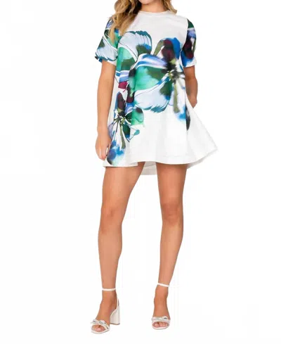 Lavender Brown Teagan Mini Dress In Ivory/blue In White