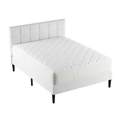 Lavish Home 100% Cotton Hypoallergenic Fitted Mattress Protector
