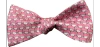 Lazyjack Press Men's Pink / Purple Shaken Not Stirred Bow Tie In Pink/purple