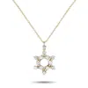 Lb Exclusive 14k Yellow Gold 0.50ct Diamond Star Of David Necklace Pn18054-y