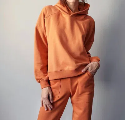 Lblc The Label Brenna Hoodie In Terracotta In Brown