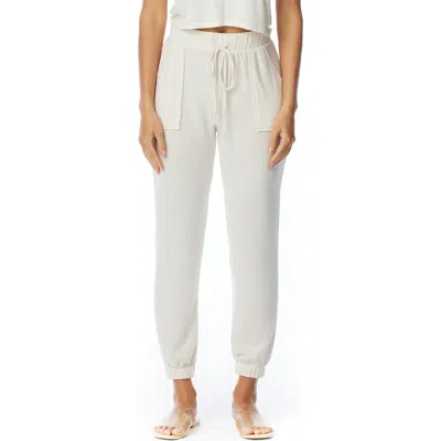 Lblc The Label Erza Cozy Jogger Pants In Multi