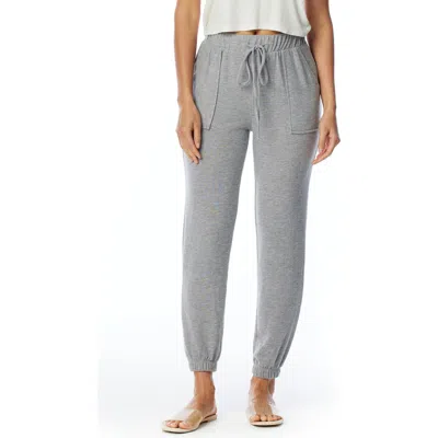 Lblc The Label Erza Cozy Jogger Pants In Gray