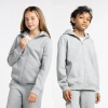Lckr Boys  Full-zip Hoodie In Grey
