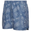 Lckr Mens  Aa Nylon Shorts In Tossed Psly Flntstne