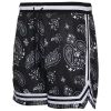 Lckr Mens  League Mesh Shorts In Tossed Paisley