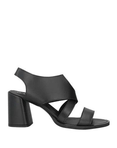 Le Bohémien Woman Sandals Black Size 10 Calfskin